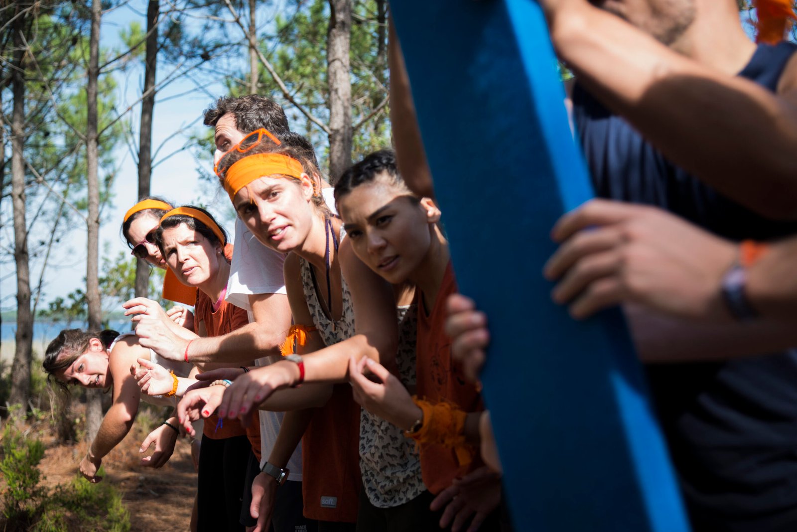 Fédération du Team Building en France